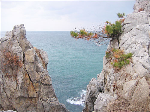 바위들 사이로 푸른 동해바다가 보인다. 